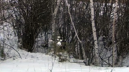 바카라게임룰↖KOP77,COM☏바카라주소¶바카라추천사이트