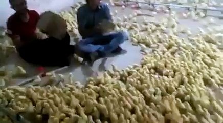 you never see this type of croud