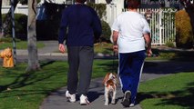 Study Suggests Obese People See Distances Differently