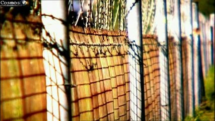 Η Δολοφονία του Μάρτιν Λούθερ Κινγκ [720p]_clip3