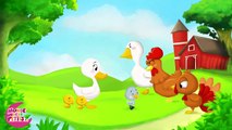 Histoire pour enfants : Le vilain petit canard