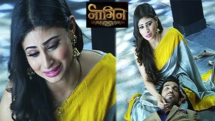 (Video) Shivanya Confesses Her Love To Ritik | Naagin