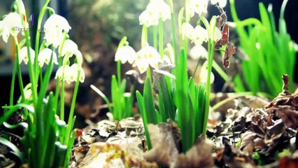 Bheegi Hansi | Rahul Jain | Mantramugdh Music | valentines day | romantic song