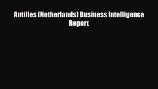 [PDF] Antilles (Netherlands) Business Intelligence Report Read Full Ebook