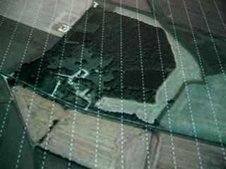 Emergence oiseaux test