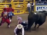 GIANT BULL did not give him a chance to live !!!