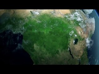 бегемот спасает гну от крокодилов