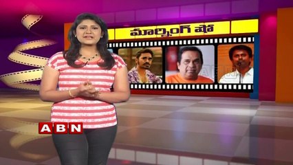 Lover boy Movie audio launched (16-02-2016)