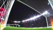 Paris Saint-Germain Vs. Lyon (Lyonnais) 3-0 Highlights Ibrahimović All Gols - Coupe France 10-2-2016 (FULL HD)