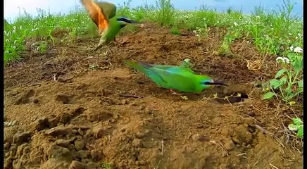 Azerbaijan. Ag-Gol National Park. Аг-Гёльский национальный парк