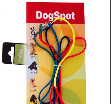 Dog Daycare San Marcos Boarding Oceanside