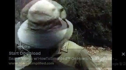 바카라시스템배팅い＼＼【KOP77。COM】＼＼た로얄드림카지노랜드바카라사이트주소