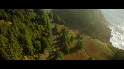 GREEN ROOM Teaser Trailer (2015) Patrick Stewart Neo-Nazi Thriller