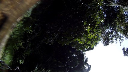 Parque Estadual da Serra da Bocaina, São José do Barreiro, SP, Brasil, Marcelo Ambrogi, 22 bikers, Mountain bike, Fevereiro de 2016