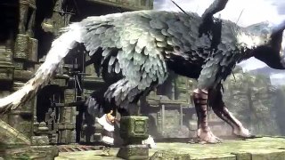 The Last Guardian – XboxOne [telechargerTorrentsGames.com]