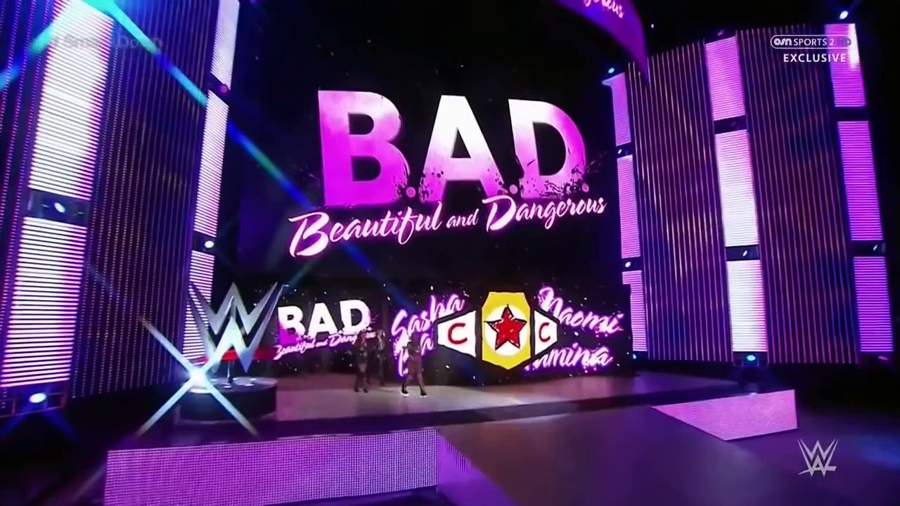 WWE Paige