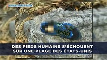 Des pieds humains s'échouent sur une plage des États-Unis