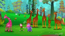 Finger Family Giraffe | ChuChu TV Animal Finger Family Nursery Rhymes Songs For Children