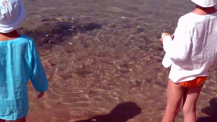 Кормим рыбок на пляже (Египет, Дахаб, отель Ибис стайл Дахаб лагун - Ibis Styles Dahab Lagoon)