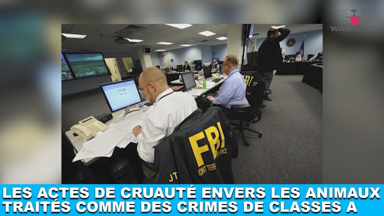 Les actes de cruauté envers les animaux traités comme des crimes de classe A ! Plus d'infos dans la minute chien #131