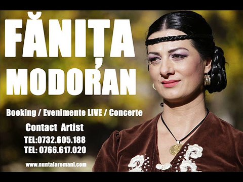 CEA MAI BUNA MUZICA DE PETRECERE COLAJ MUZICA DE PETRECERE MUZICA POPULARA