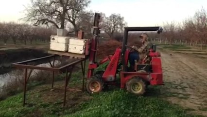Inside California&apos;s almond pollination season