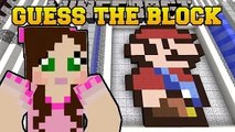 PopularMMOs PAT AND JEN Minecraft: PICTURE GUESSING! Mini-Game GamingWithJen