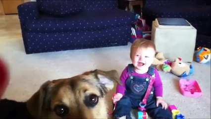 WHEN DOGS & BABIES COLLIDE -