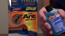 Borax Ant Killer - Liquid Ant Bait