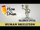 How To Draw A Human Skeleton - Halloween Special - Easy Drawing Lesson With Colouring