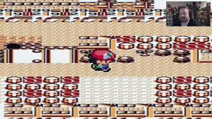 Wh.. Why? WHY WOULD YOU MAKE THIS??! | Let's Play Pokemon EXE.exe