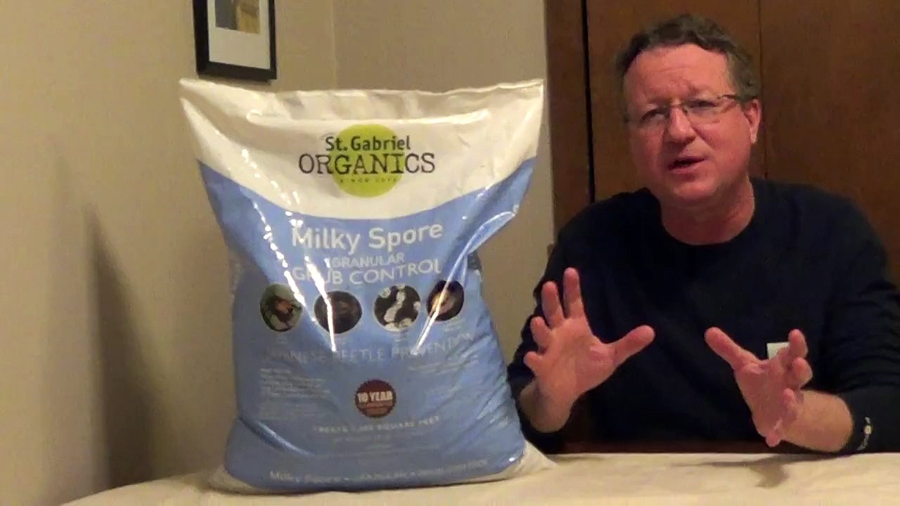 Milky Spore - Grub Control