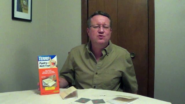 Pantry Moths - How to Get Rid of Pantry Moths