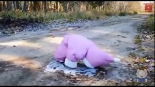 Funny Videos For Kids Best Laughing Video-Funny Baby