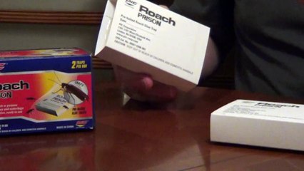 Effective Roach Traps to Eliminate Cockroaches 🪳