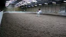 My Poneyshow part 2