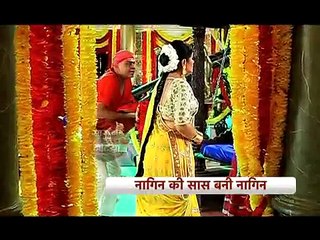 Naagin-Search for Naagmani in Naagin.