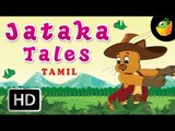 Jataka Tales In Tamil (HD) - Compilation of Cartoon/Animated Stories For Kids