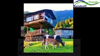 ARTVİN SEVDASI - Artvinlileri Anlatan O GÜZEL VİDEO