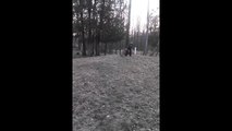 Dog Drags Boy Across the Ground