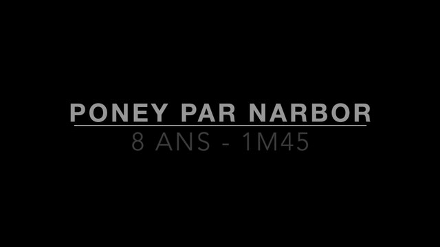 Bon Poney Par MAD DU BOSC (PFS) par NABOR (Deuts Pony)