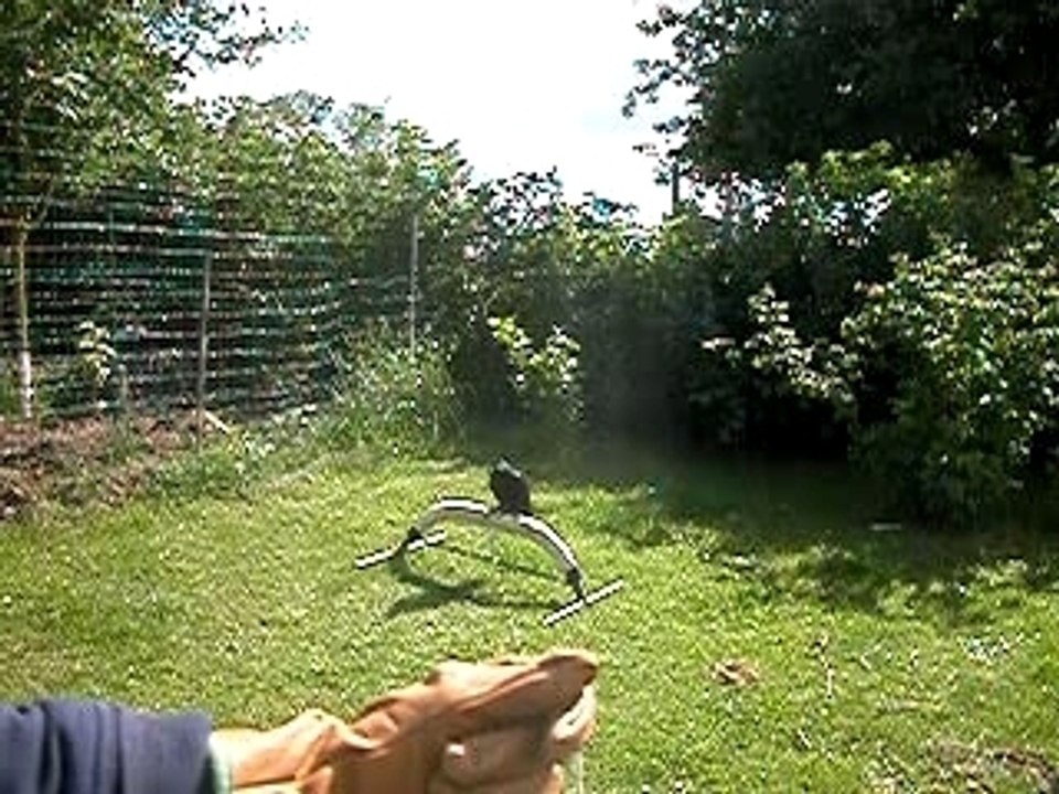 DSCN2970