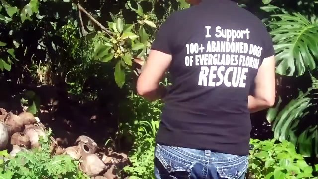 My Girl Friend Kissing My Top American Breed Pet Dog: Funny Dog Playing With My Lover