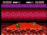 TAS Battletoads NES in 0:56 by MESHUGGAH