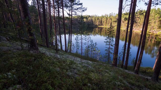 Первозданная природа Кайнуу, Финляндия (4К)