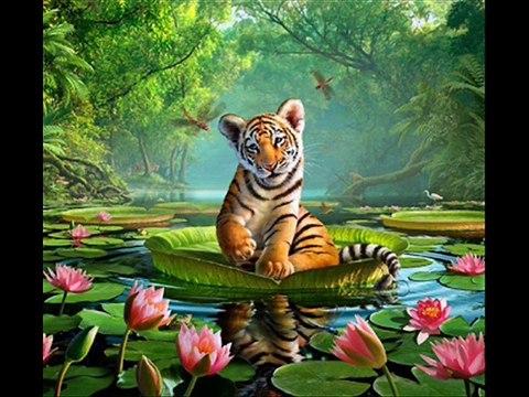 Twoja Pomoc tekst i wokal Aleksndra Pławińska muzyka .Sky Van Dreamer &Kriss