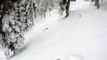 Des skieurs tombent nez à nez sur un léopard des neiges