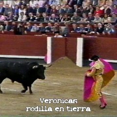 Los quites de El Juli (2016)