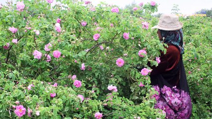 Marché du monde solidaire
