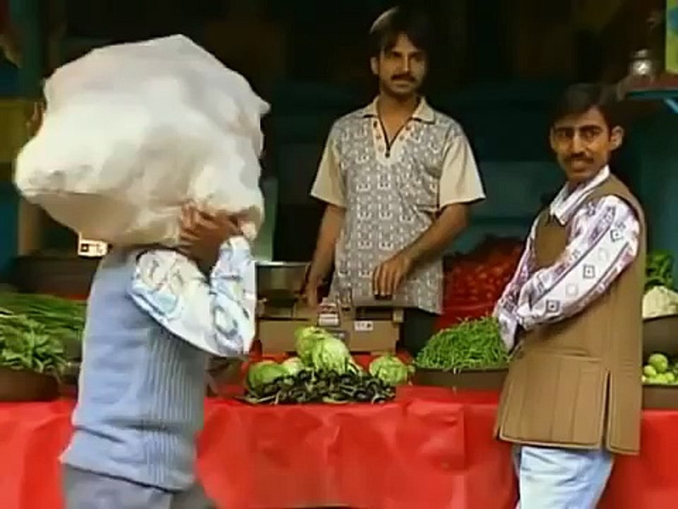 The Grey Wolf / Gray Wolves Hunting In the Wild [Animal Nature Wildlife Documentary]